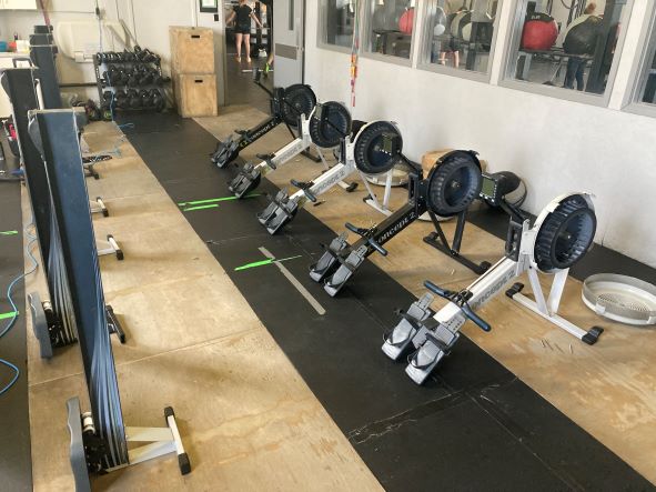 GYM13